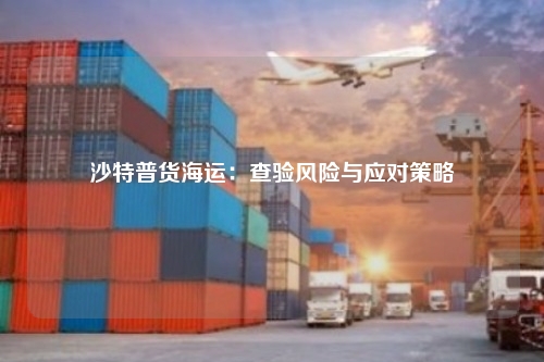 沙特普货海运：查验风险与应对策略