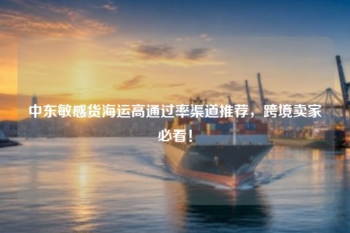 中东敏感货海运高通过率渠道推荐，跨境卖家必看！