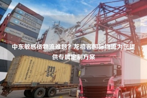 中东敏感货物流难题？龙禧客国际物流为您提供专属定制方案