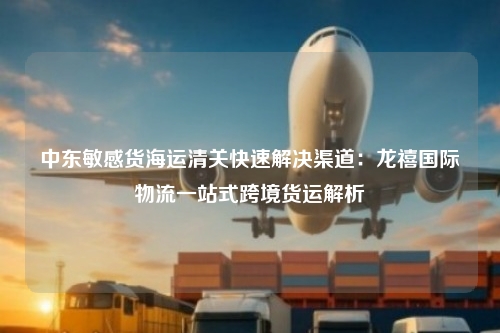 中东敏感货海运清关快速解决渠道:龙禧国际物流一站式跨境货运解析