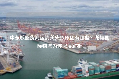 中东敏感货海运清关失败原因有哪些?龙禧国际物流为你深度解析