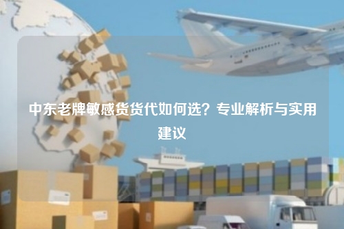 中东老牌敏感货货代如何选?专业解析与实用建议