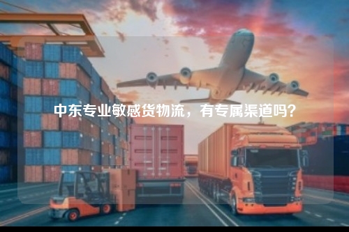 中东专业敏感货物流,有专属渠道吗?
