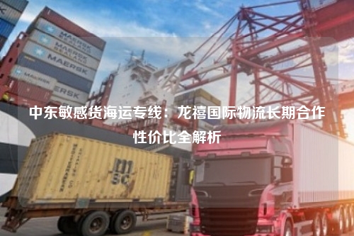 中东敏感货海运专线:龙禧国际物流长期合作性价比全解析