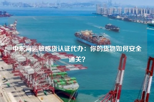 中东海运敏感货认证代办:你的货物如何安全通关?