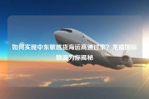 如何实现中东敏感货海运高通过率？龙禧国际物流为你揭秘