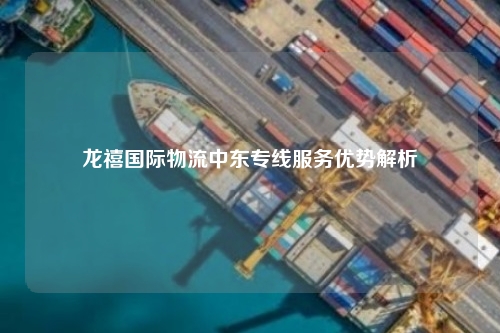 龙禧国际物流中东专线服务优势解析