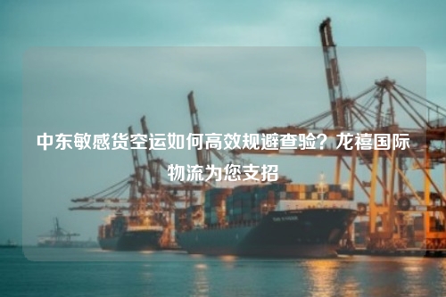中东敏感货空运如何高效规避查验？龙禧国际物流为您支招