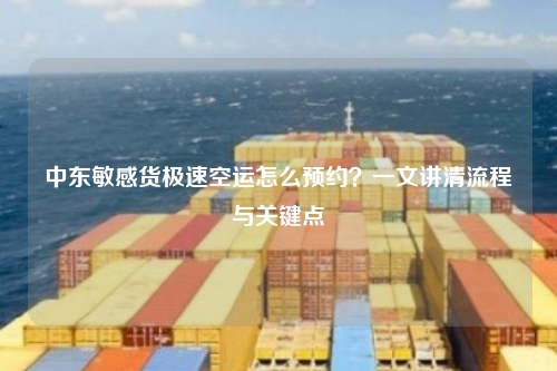 中东敏感货极速空运怎么预约？一文讲清流程与关键点