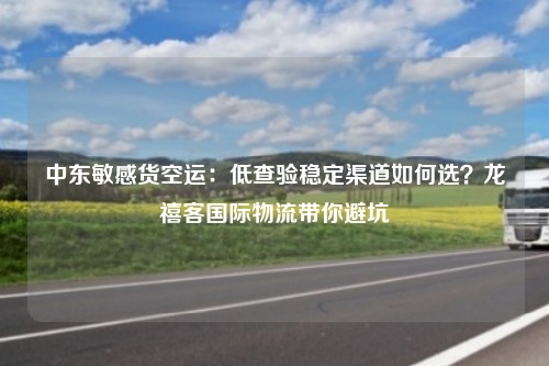 中东敏感货空运:低查验稳定渠道如何选?龙禧客国际物流带你避坑