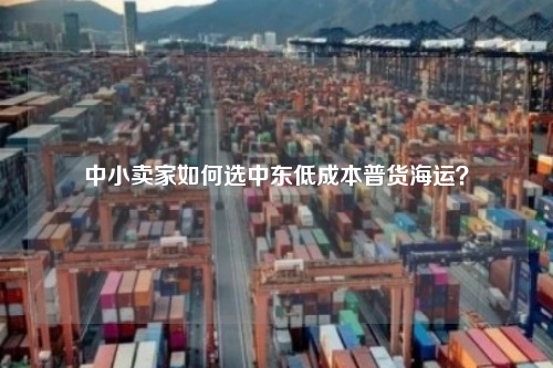 中小卖家如何选中东低成本普货海运?