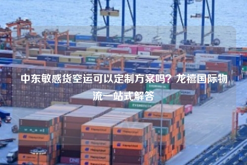 中东敏感货空运可以定制方案吗？龙禧国际物流一站式解答