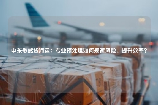 中东敏感货海运：专业预处理如何规避风险、提升效率？