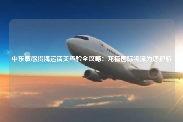 中东敏感货海运清关查验全攻略:龙禧国际物流为您护航