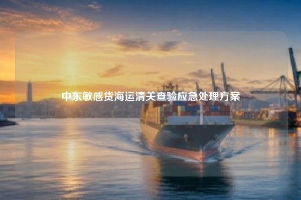中东敏感货海运清关查验应急处理方案