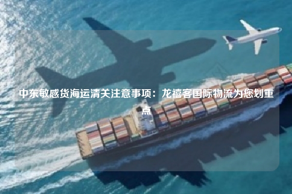 中东敏感货海运清关注意事项:龙禧客国际物流为您划重点