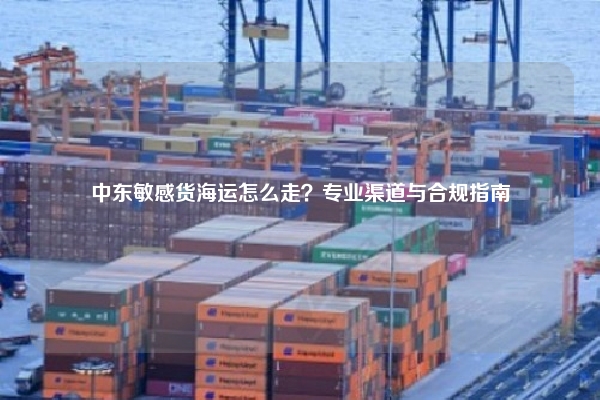 中东敏感货海运怎么走？专业渠道与合规指南