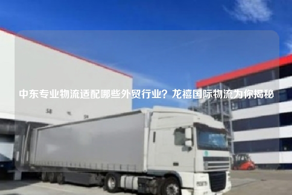 中东专业物流适配哪些外贸行业?龙禧国际物流为你揭秘