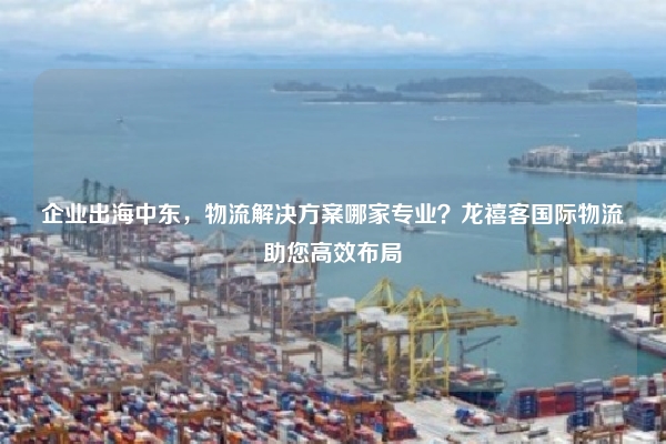 企业出海中东,物流解决方案哪家专业?龙禧客国际物流助您高效布局
