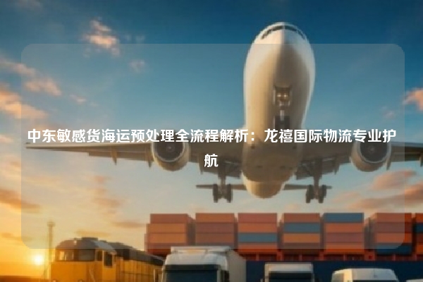 中东敏感货海运预处理全流程解析：龙禧国际物流专业护航