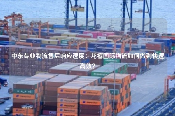 中东专业物流售后响应速度：龙禧国际物流如何做到快速高效？