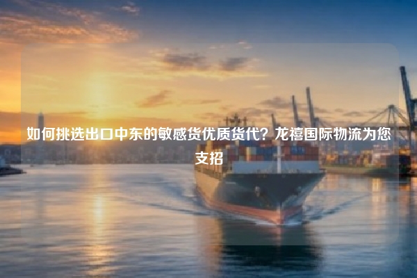 如何挑选出口中东的敏感货优质货代？龙禧国际物流为您支招
