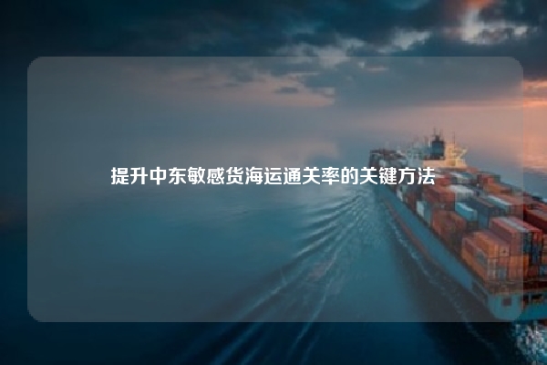 提升中东敏感货海运通关率的关键方法