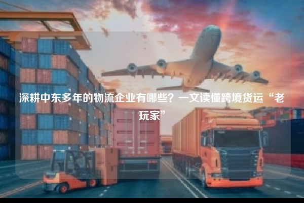 深耕中东多年的物流企业有哪些?一文读懂跨境货运“老玩家”