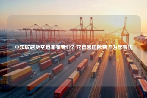 中东敏感货空运哪家专业?龙禧客国际物流为您解忧