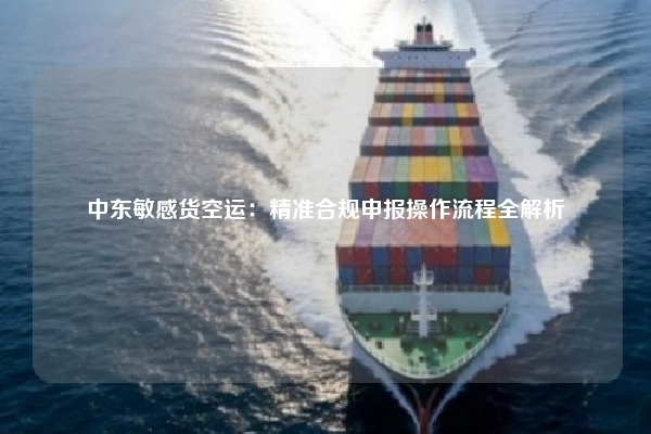 中东敏感货空运:精准合规申报操作流程全解析