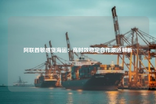 阿联酋敏感货海运:高时效稳定合作渠道解析