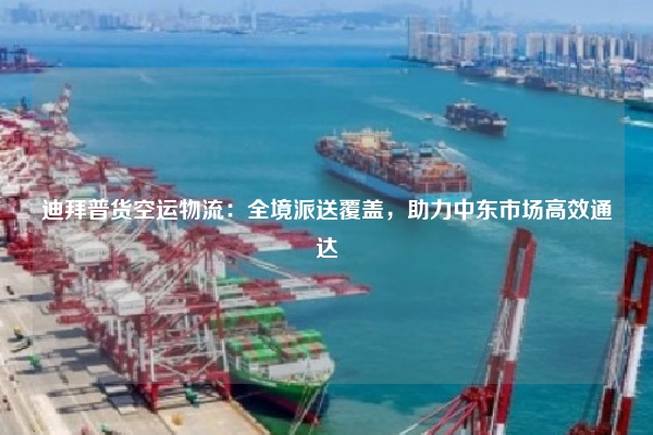 迪拜普货空运物流:全境派送覆盖,助力中东市场高效通达