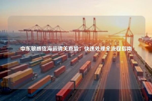 中东敏感货海运清关查验：快速处理全流程指南