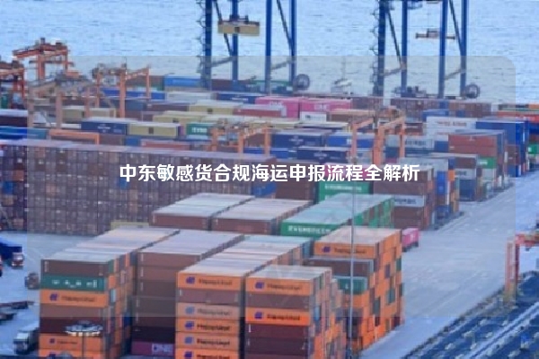 中东敏感货合规海运申报流程全解析