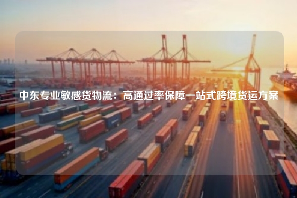 中东专业敏感货物流:高通过率保障一站式跨境货运方案