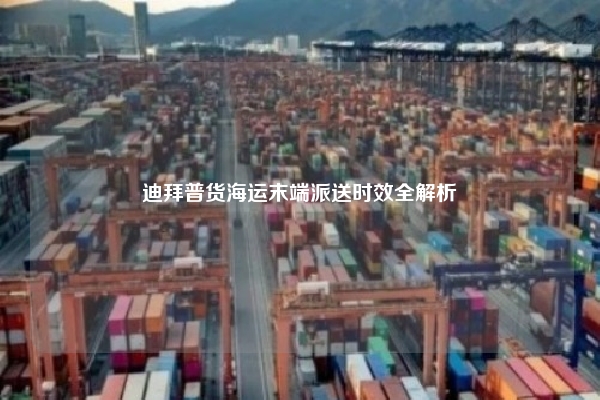 迪拜普货海运末端派送时效全解析