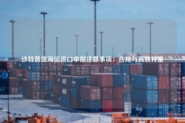 沙特普货海运进口申报注意事项:合规与高效并重