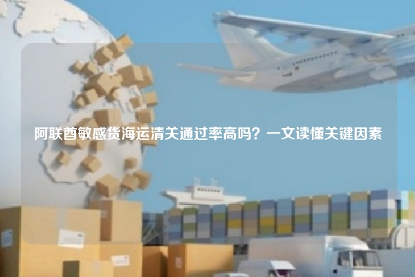 阿联酋敏感货海运清关通过率高吗？一文读懂关键因素