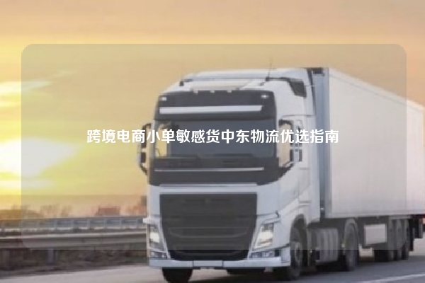 跨境电商小单敏感货中东物流优选指南