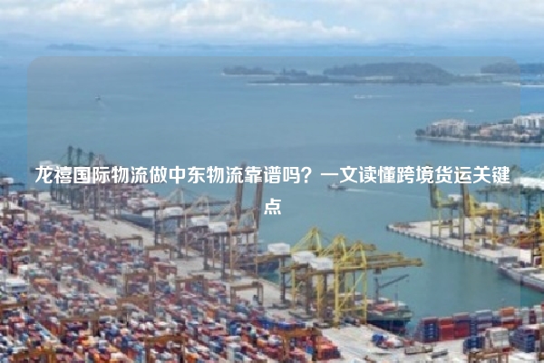 龙禧国际物流做中东物流靠谱吗？一文读懂跨境货运关键点