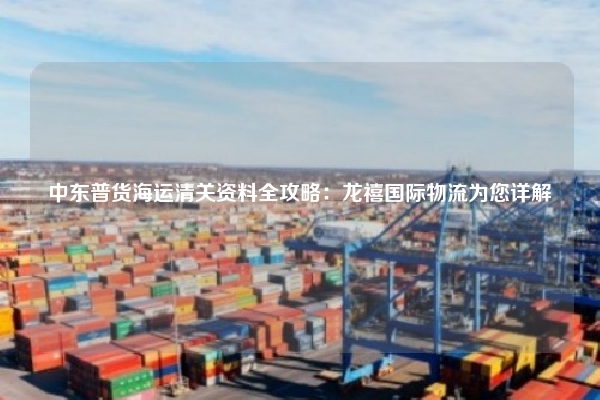 中东普货海运清关资料全攻略：龙禧国际物流为您详解