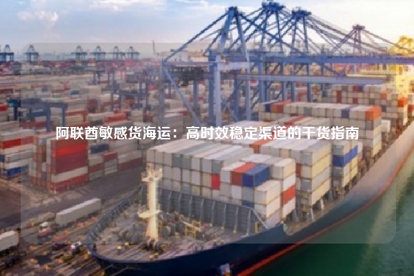 阿联酋敏感货海运：高时效稳定渠道的干货指南