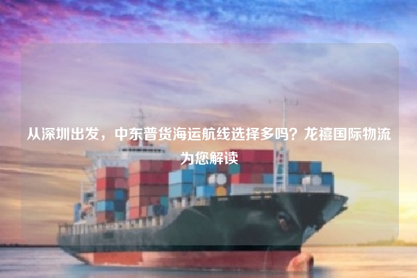 从深圳出发，中东普货海运航线选择多吗？龙禧国际物流为您解读