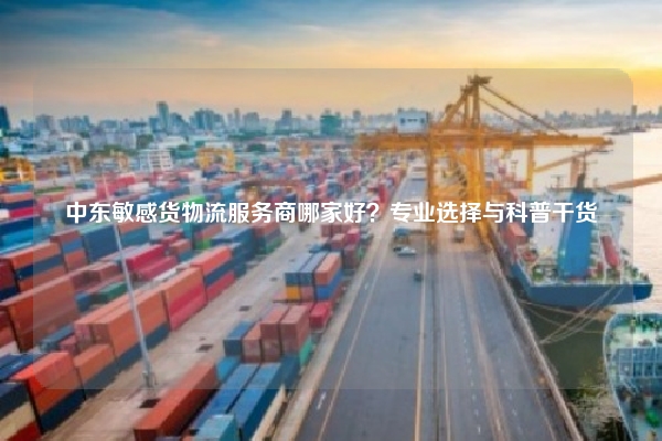 中东敏感货物流服务商哪家好？专业选择与科普干货