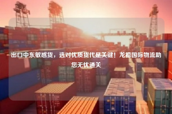 出口中东敏感货，选对优质货代是关键！龙禧国际物流助您无忧通关