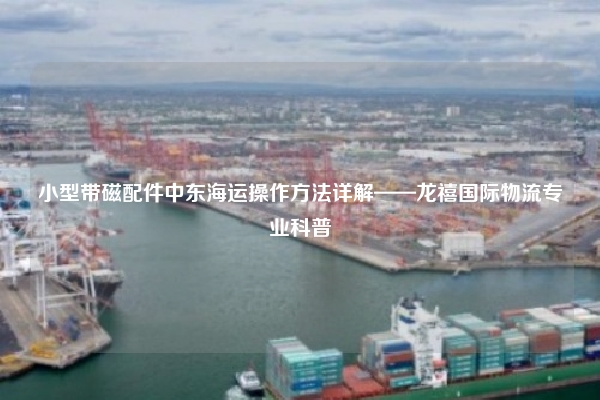 小型带磁配件中东海运操作方法详解——龙禧国际物流专业科普