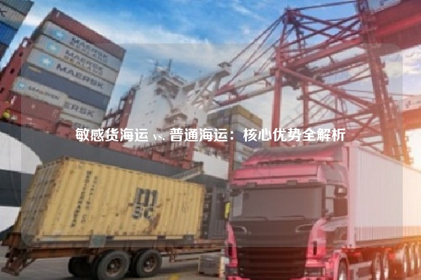 敏感货海运 vs. 普通海运：核心优势全解析