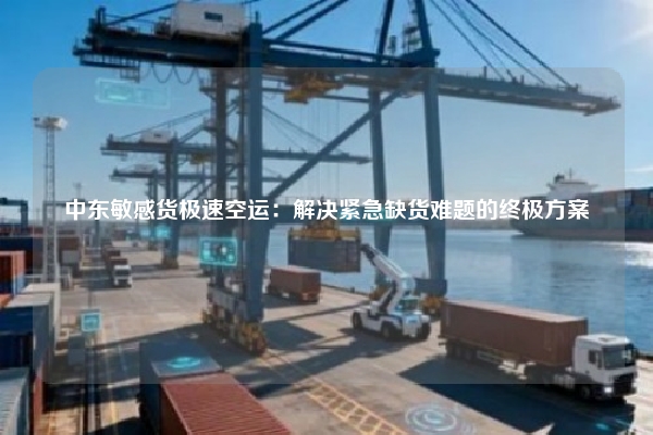 中东敏感货极速空运：解决紧急缺货难题的终极方案