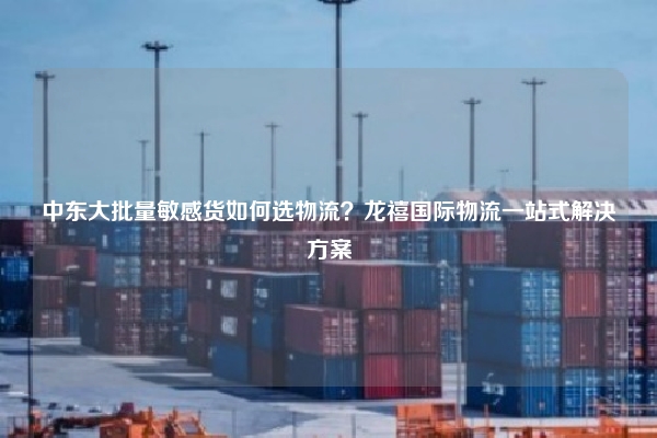 中东大批量敏感货如何选物流？龙禧国际物流一站式解决方案