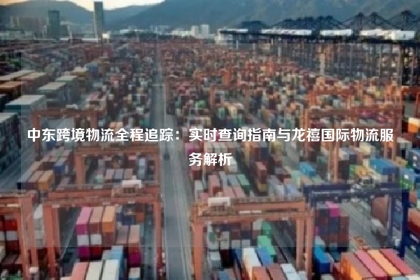 中东跨境物流全程追踪：实时查询指南与龙禧国际物流服务解析